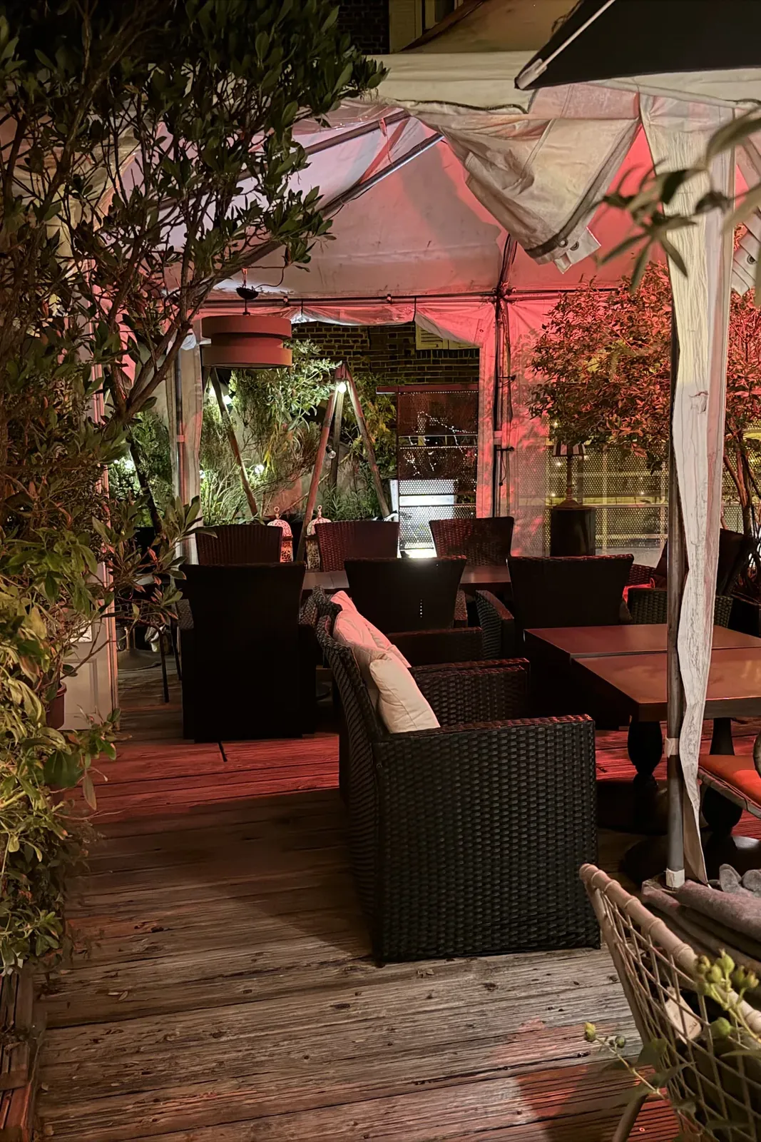Terrasse sur le toit, cocktails et ambiance végétale